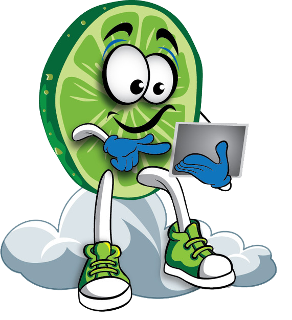 Lime Bookkeeping Inc's very own Larry the lime