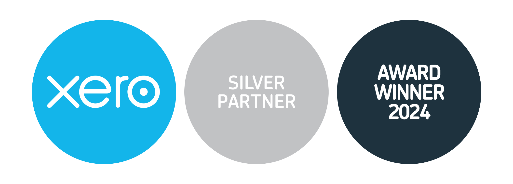 Lime Bookkeeping Inc. partner status is Xero Silver Champion